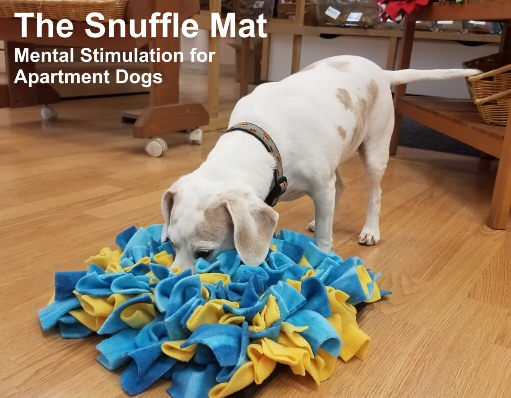 A white dog sitting beside a blue snuffle mat on a light wood floor indoors