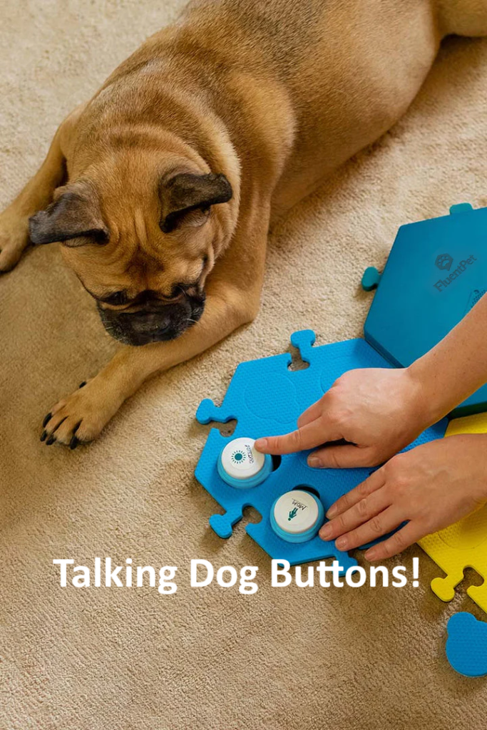 FluentPet Speak Up Get Started Kit with 12 recordable talking buttons and HexTile mats for dog and cat communication training